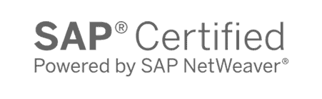 SAP NetWeaver logo